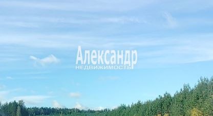 Купить земельный участок в г. Посёлок райвио. Фотография №3