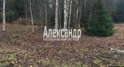 Купить земельный участок на улице Заозёрная г. Посёлок райвио. Фотография №4