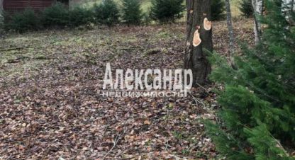 Продаётся земельный участок в г. Посёлок райвио. Фотография №6