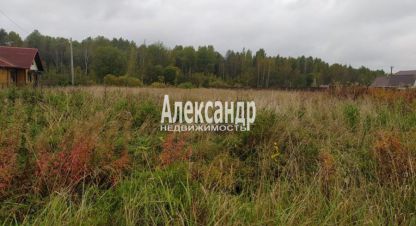 Купить земельный участок в г. Кузино. Фотография №2