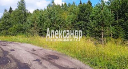 Купить земельный участок. Фотография №1 Продам земельный участок, Лахденпохский район, г. Мийнальское сельское поселение, Карелия респ., Россия, агентство Александр-Недвижимость. Фотография №1