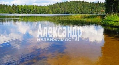 Купить земельный участок в г. Мийнальское сельское поселение. Фотография №2 Купить земельный участок в г. Мийнальское сельское поселение. Фотография №2