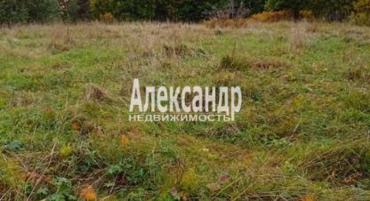 Купить земельный участок в г. Хийтольское сельское поселение. Фотография №2 Купить земельный участок в г. Хийтольское сельское поселение. Фотография №2