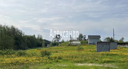 Купить земельный участок в г. Посёлок терву. Фотография №3 Купить земельный участок в г. Посёлок терву. Фотография №3
