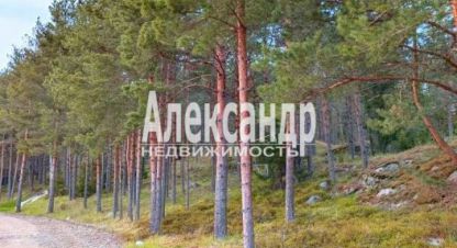 Продаётся земельный участок в г. Лахденпохья. Фотография №6