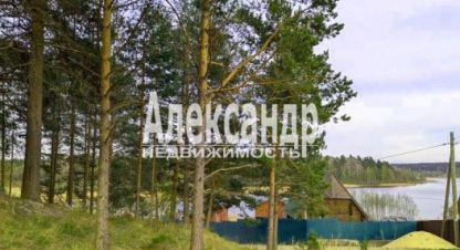 Купить земельный участок г. Лахденпохья. Фотография №5