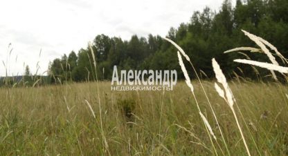 Продаётся земельный участок в г. Мийнальское сельское поселение. Фотография №7