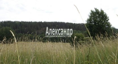 Купить земельный участок, Россия, г. Мийнальское сельское поселение. Фотография №8