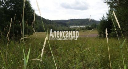 Купить земельный участок г. Мийнальское сельское поселение. Фотография №5