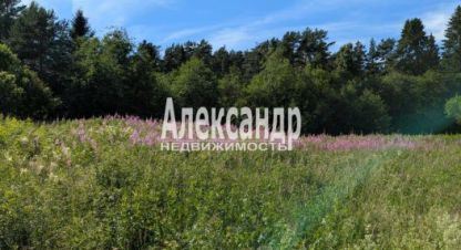 Купить земельный участок, Россия, г. Посёлок ихоярвенкюля. Фотография №9
