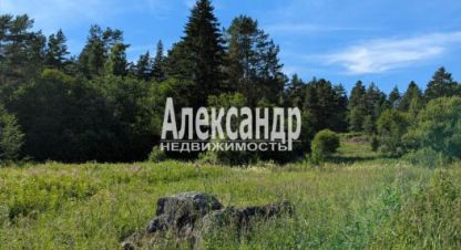 Купить земельный участок г. Посёлок ихоярвенкюля. Фотография №4