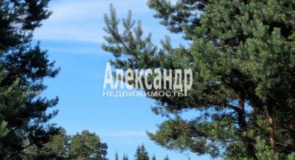 Купить земельный участок в г. Посёлок ихоярвенкюля. Фотография №3