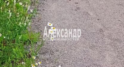 Продаётся земельный участок в г. Лахденпохья. Фотография №6 Продаётся земельный участок в г. Лахденпохья. Фотография №6