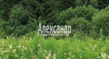 Купить земельный участок. Фотография №1 Продам земельный участок, на улице Суворова, Лахденпохский район, г. Лахденпохья, Карелия респ., Россия, агентство Александр-Недвижимость. Фотография №1
