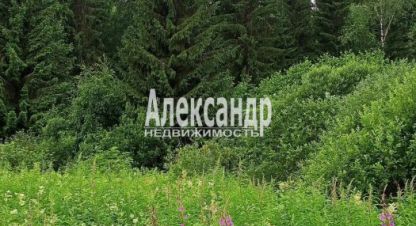 Продаётся земельный участок в г. Лахденпохья. Фотография №7 Продаётся земельный участок в г. Лахденпохья. Фотография №7
