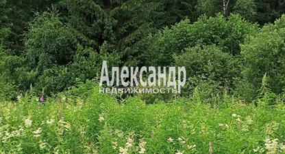 Купить земельный участок на улице Суворова г. Лахденпохья. Фотография №5 Купить земельный участок на улице Суворова г. Лахденпохья. Фотография №5