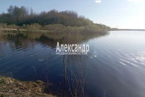 Продам земельный участок, на улице Центральная, г. Ручьи, Новгородская обл., Россия, агентство Александр-Недвижимость