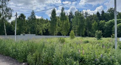 Купить земельный участок в г. Балашиха. Фотография №2 Купить земельный участок в г. Балашиха. Фотография №2