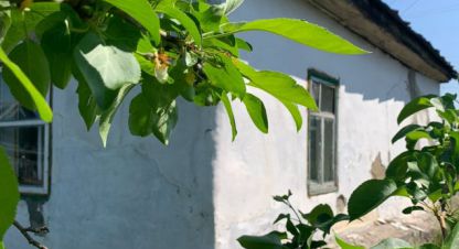 Купить дом в г. Курган. Фотография №3
