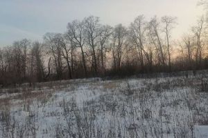Продам земельный участок, Заводской район, г. Саратов, Саратовская обл., Россия, агентство АН Империя Продам земельный участок, Заводской район, г. Саратов, Саратовская обл., Россия, агентство АН Империя