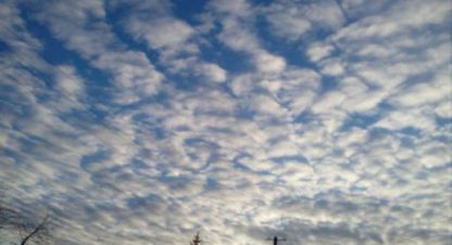 Купить земельный участок в г. Войносолово. Фотография №3