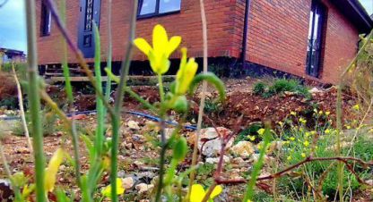 Продаётся дом в г. Мрия. Фотография №7