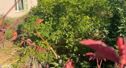 Купить дом 3-х комнатную, 63 кв. м., Россия, г. Гавань. Фотография №8