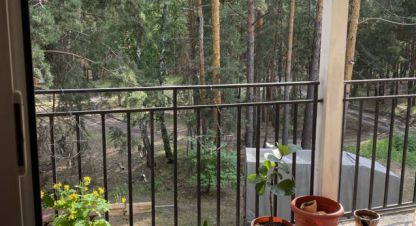 Купить 2-х комнатную квартиру на улице Интернатовская г. Курган. Фотография №4 Купить 2-х комнатную квартиру на улице Интернатовская г. Курган. Фотография №4