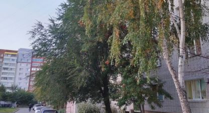 Купить 1 комнатную квартиру в г. Курган. Фотография №2 Купить 1 комнатную квартиру в г. Курган. Фотография №2