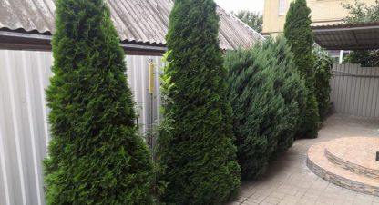Купить 5-ти комнатную дом в г. Ростов-на-Дону. Фотография №2