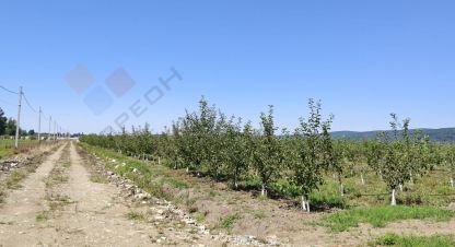 Купить земельный участок в г. Тульский. Фотография №3
