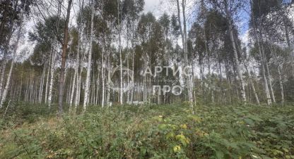 Купить земельный участок в г. Снт адуйское. Фотография №2 Купить земельный участок в г. Снт адуйское. Фотография №2