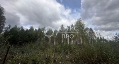 Продаётся земельный участок в г. Снт адуйское. Фотография №7 Продаётся земельный участок в г. Снт адуйское. Фотография №7