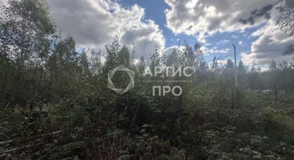 Купить земельный участок на улице Берёзовая г. Снт адуйское. Фотография №4 Купить земельный участок на улице Берёзовая г. Снт адуйское. Фотография №4