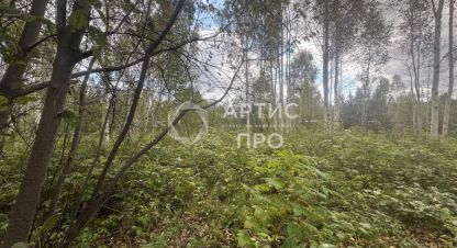 Купить земельный участок. Фотография №1 Продам земельный участок, на улице Берёзовая, г. Снт адуйское, Свердловская обл., Россия, агентство Артис Про. Фотография №1