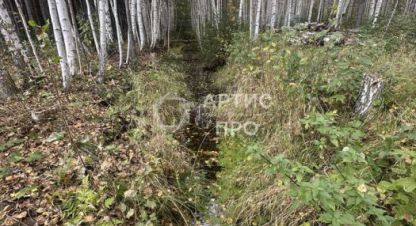 Продаётся земельный участок в г. Снт адуйское. Фотография №6 Продаётся земельный участок в г. Снт адуйское. Фотография №6