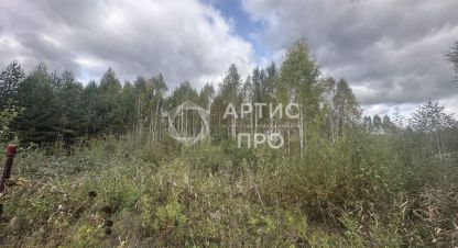 Купить земельный участок. Фотография №9 Купить земельный участок, Россия, г. Снт адуйское. Фотография №9