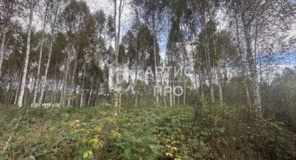 Купить земельный участок. Фотография №8 Купить земельный участок, Россия, г. Снт адуйское. Фотография №8