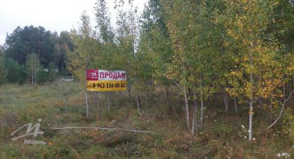Купить земельный участок в г. Лесной. Фотография №2