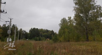 Продам земельный участок, на улице Центральная, г. Лесной, Алтайский край, Россия, агентство Миэль офис в Барануле. Фотография №1