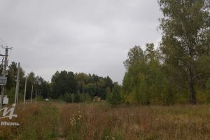 Продам земельный участок, на улице Центральная, г. Лесной, Алтайский край, Россия, агентство Миэль офис в Барануле