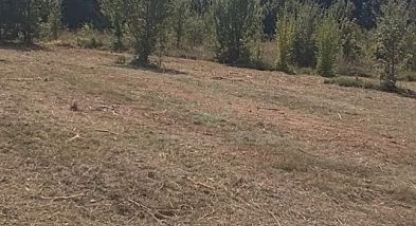 Купить земельный участок в г. Гончарное. Фотография №3 Купить земельный участок в г. Гончарное. Фотография №3