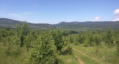 Купить земельный участок г. Гончарное. Фотография №5 Купить земельный участок г. Гончарное. Фотография №5