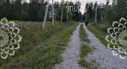 Купить земельный участок на улице Венюково г. Шеверняево. Фотография №4 Купить земельный участок на улице Венюково г. Шеверняево. Фотография №4