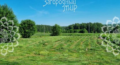 Купить земельный участок в г. Страхово. Фотография №3 Купить земельный участок в г. Страхово. Фотография №3
