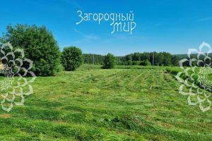 Продам земельный участок, на улице Страхово 301011, г. Страхово, Тульская обл., Россия, агентство АН Загородный Мир Продам земельный участок, на улице Страхово 301011, г. Страхово, Тульская обл., Россия, агентство АН Загородный Мир