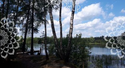 Продаётся земельный участок в г. Вишняково (константиновский со). Фотография №7