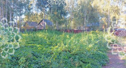 Купить земельный участок на улице Днп навигатор г. Вишняково (константиновский со). Фотография №4