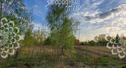 Продам земельный участок, на улице Днп навигатор, г. Вишняково (константиновский со), Московская обл., Россия, агентство АН Загородный Мир . Фотография №1