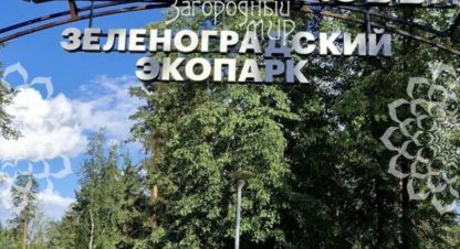 Купить дом 3-х комнатную, 167 кв. м. Фотография №9 Купить дом 3-х комнатную, 167 кв. м., Россия, г. Кощейково. Фотография №9